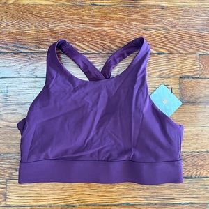 Fabletics Burgundy Sports Bra